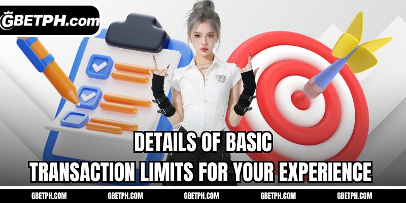 Details of basic transaction limits for your experience 
