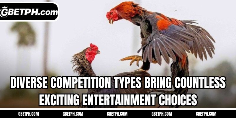 Diverse competition types bring countless exciting entertainment choices