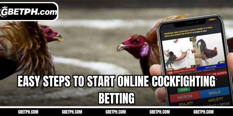 Easy steps to start online cockfighting betting