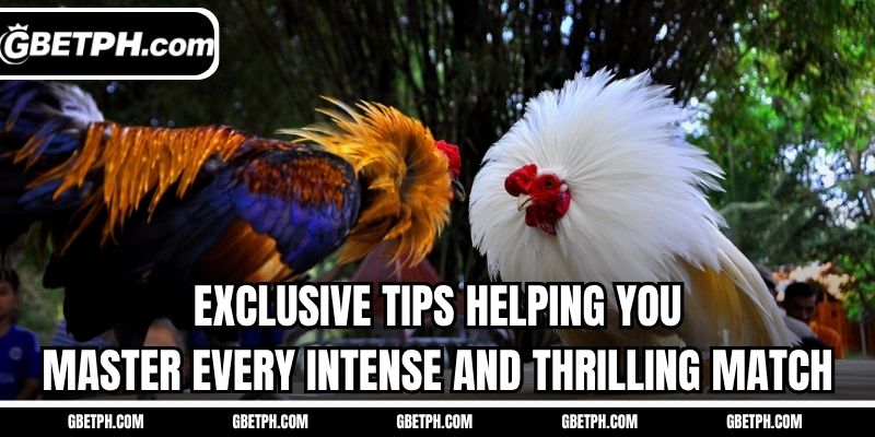 Exclusive tips helping you master every intense and thrilling match