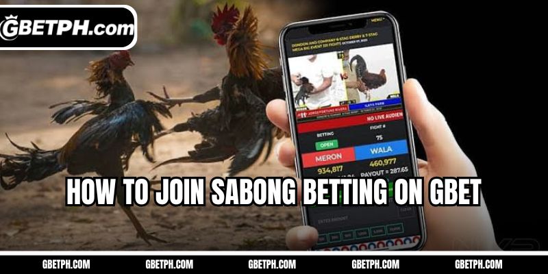 How to join Sabong betting on Gbet