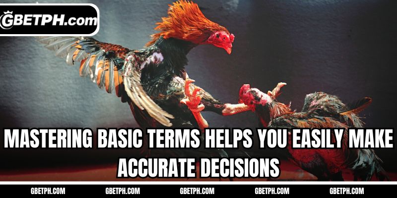Mastering basic terms helps you easily make accurate decisions