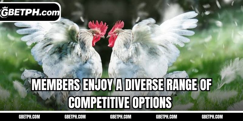 Members enjoy a diverse range of competitive options