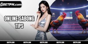 Online sabong tips