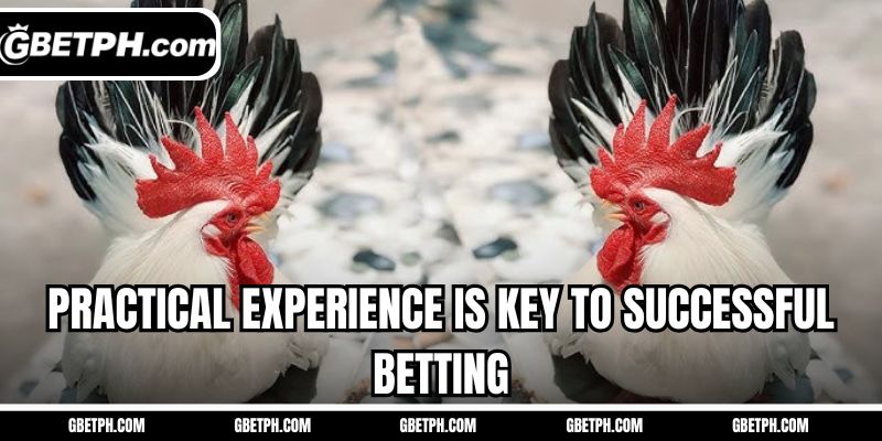 Practical experience is key to successful betting