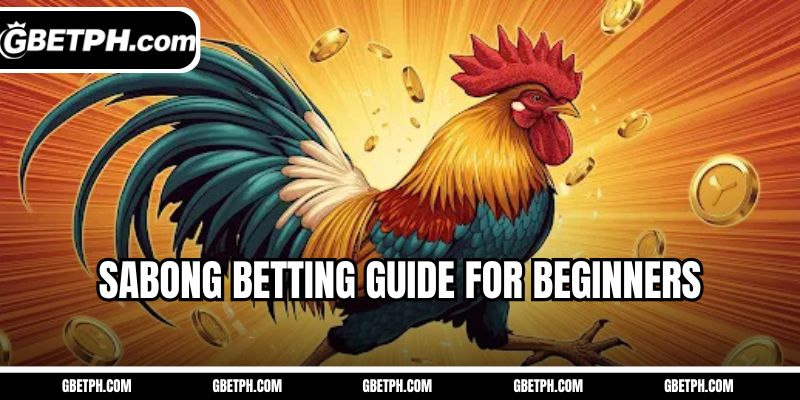 Sabong betting guide for beginners
