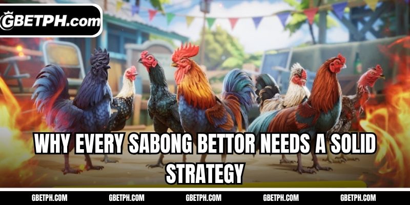 Why every Sabong bettor needs a solid strategy